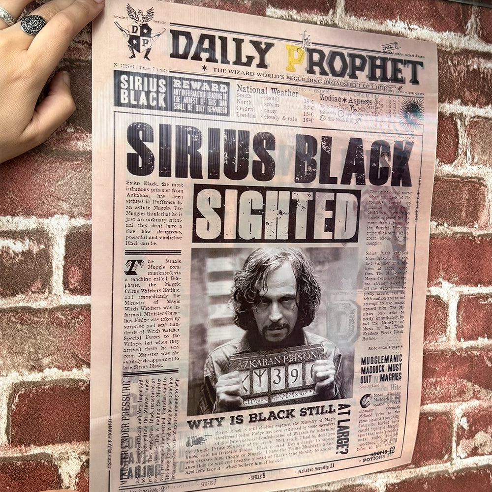 Poster Lenticular Harry Potter