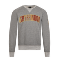 Sudadera Gryffindor