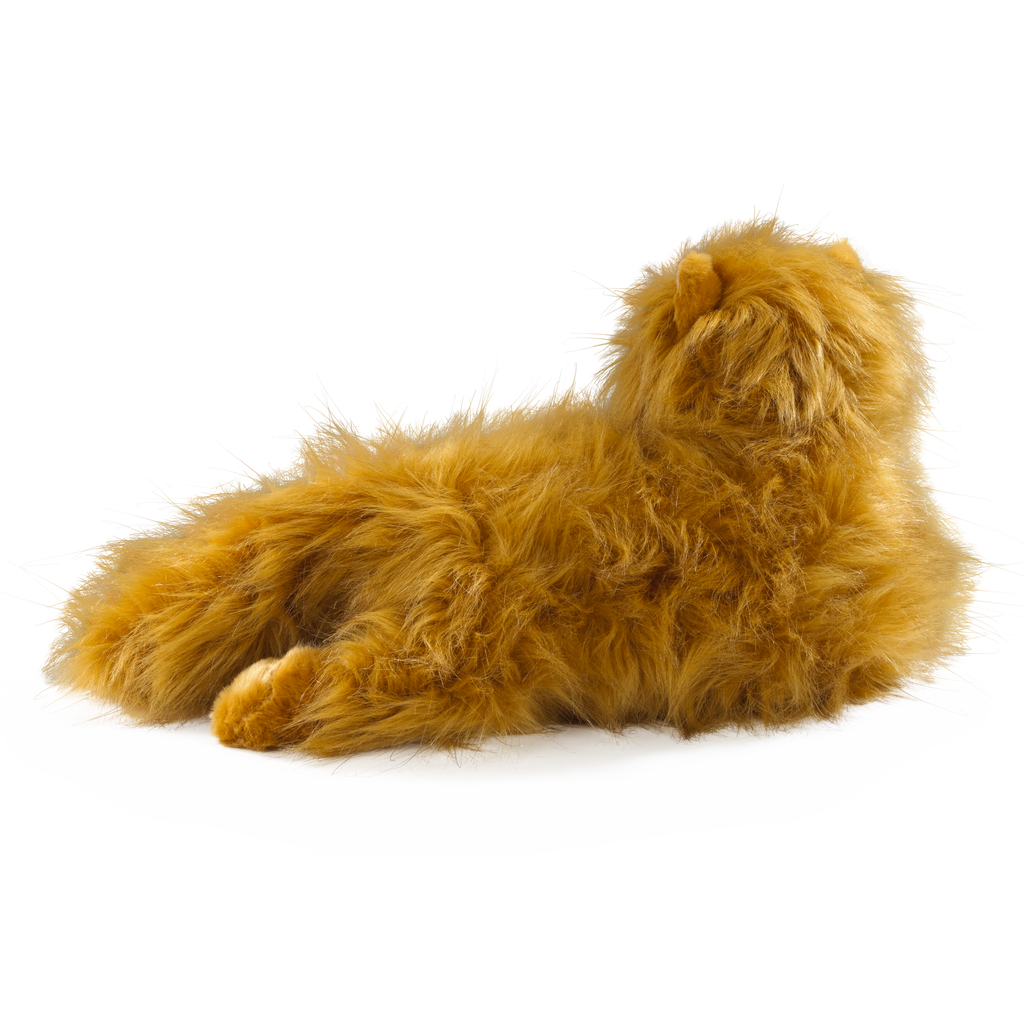Peluche Crookshanks