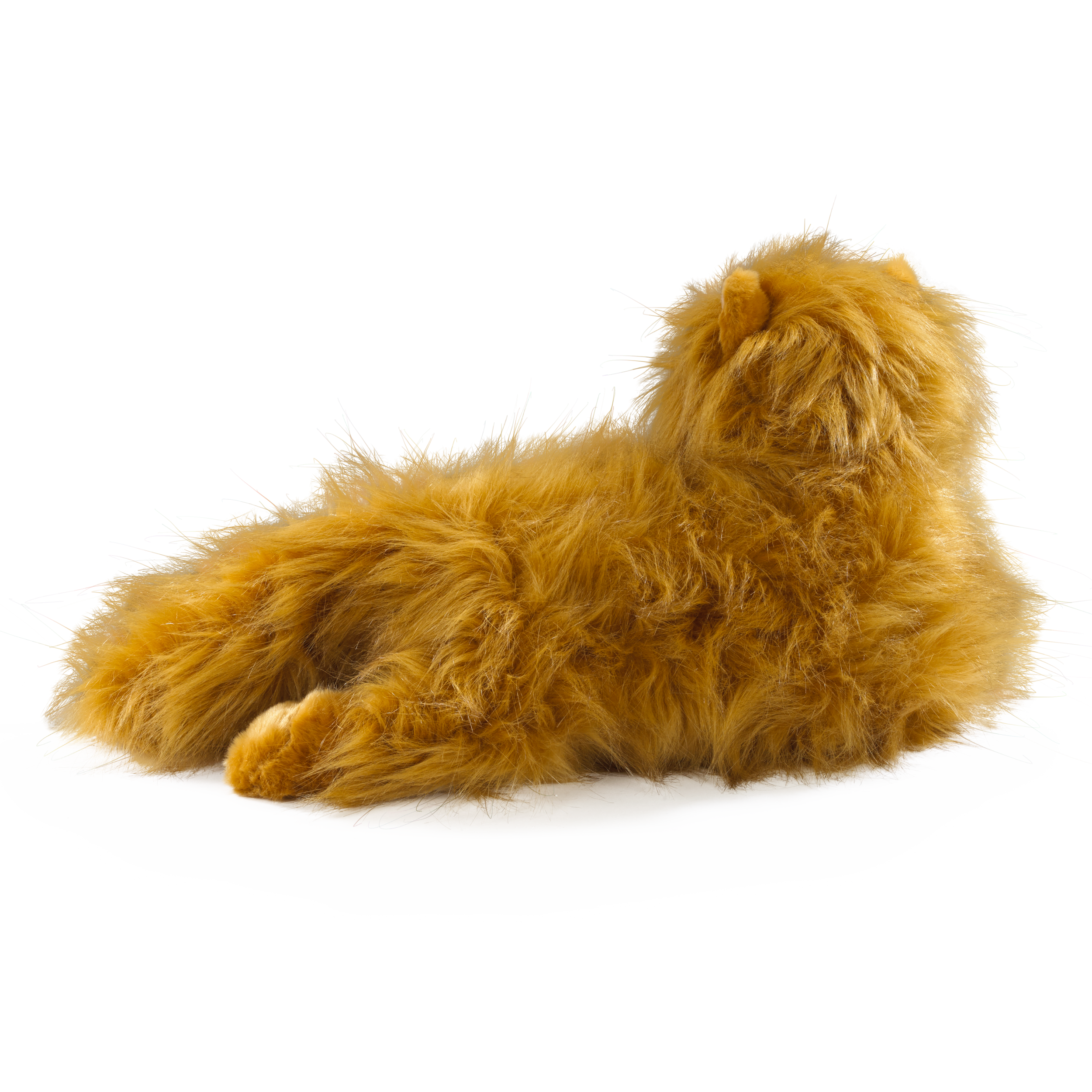 Peluche Crookshanks