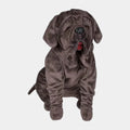 Peluche Fang