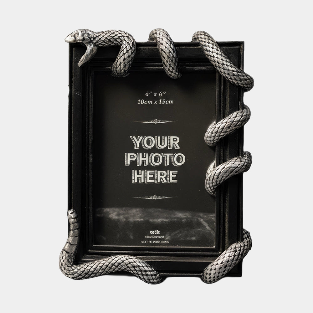 Portarretratos Slytherin