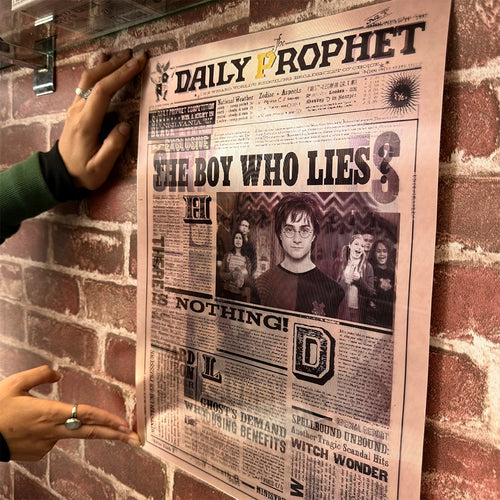 Póster Lenticular Harry Potter