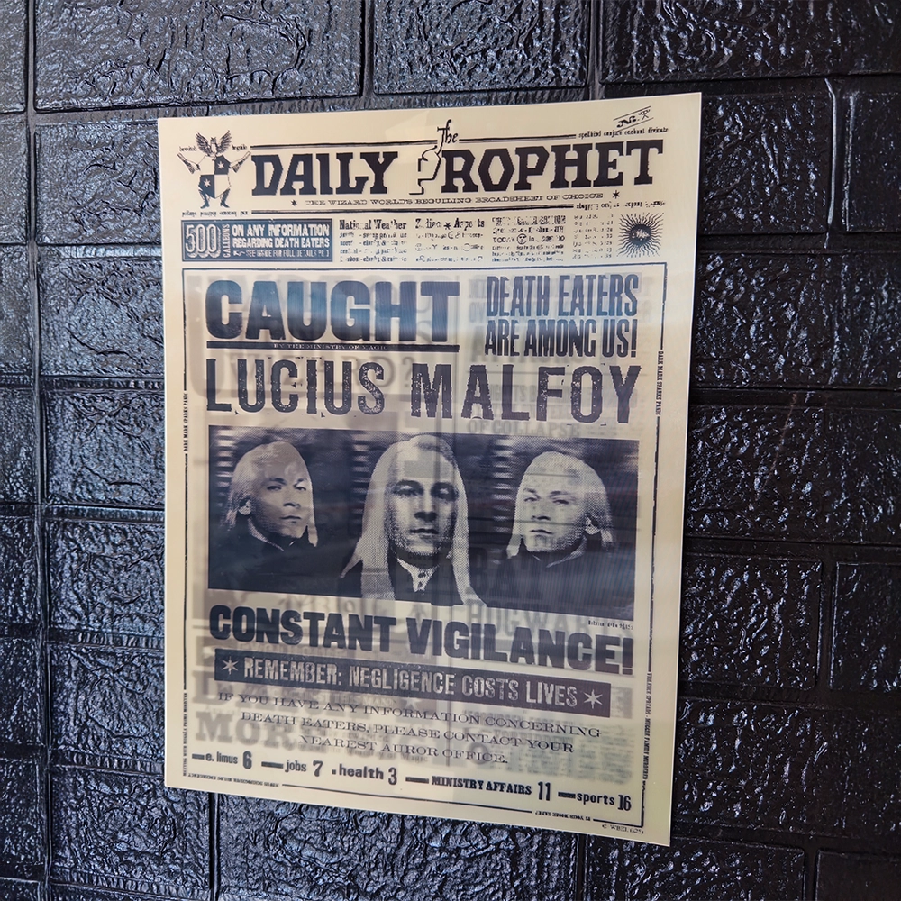 Póster Lenticular Harry Potter Sirius Black