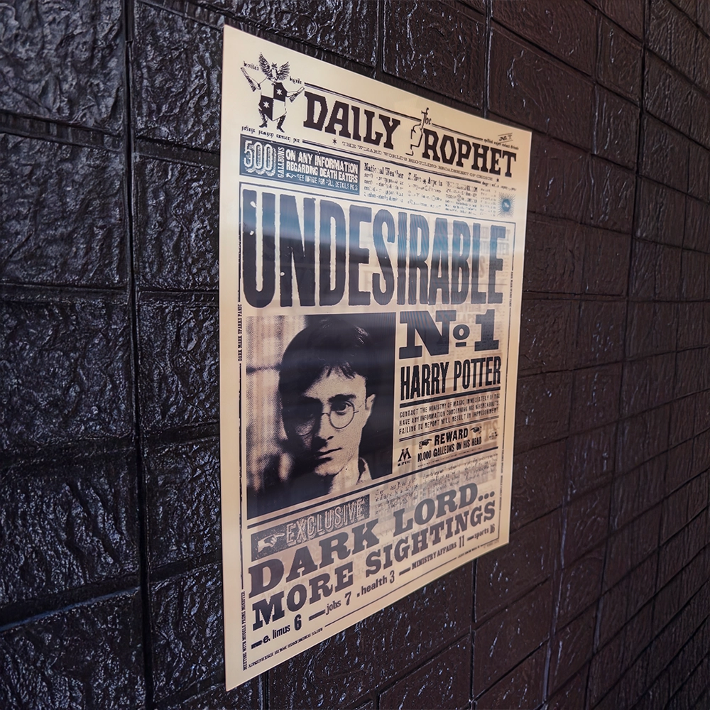 Póster Lenticular Harry Potter Sirius Black