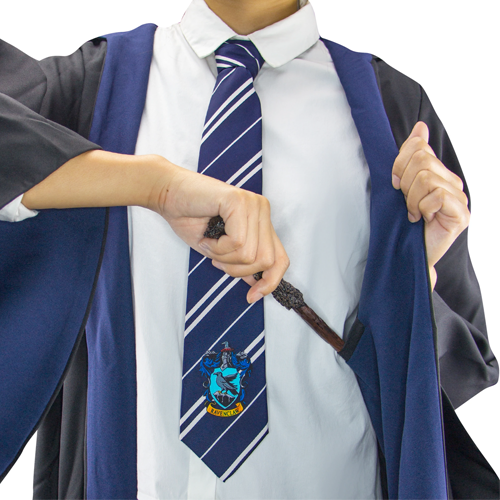 Capa Ravenclaw