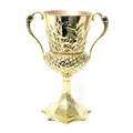 Copa Hufflepuff